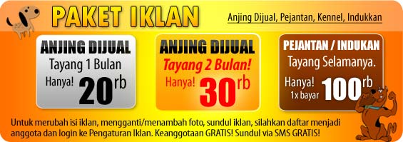Biaya Pasang Iklan