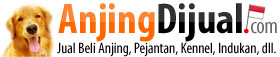 AnjingDijual.com