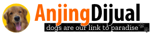 Logo AnjingDijual.COM
