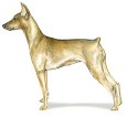 German Pinscher